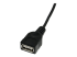 USBMUSBFM1 - StarTech.com 1 ft Mini USB 2.0 Cable - Close up