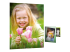 Q5451A - HP Everyday Photo Paper - Front