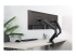 FPMA-D650DBLACK - Neomounts FPMA-D650D - Back