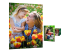 Q5451A - HP Everyday Photo Paper - Front