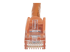 N6PATCH75OR - StarTech.com 75ft CAT6 Ethernet Cable, 10 Gigabit Snagless RJ45 650MHz 100W PoE Patch Cord, CAT 6 10GbE UTP Network Cable w/Strain Relief, Orange, Fluke Tested/Wiring is UL Certified/TIA - Close up